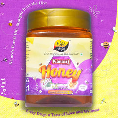Premium Karanj Honey 250g - Pure, Natural, and Organic Honey Product Image 1
